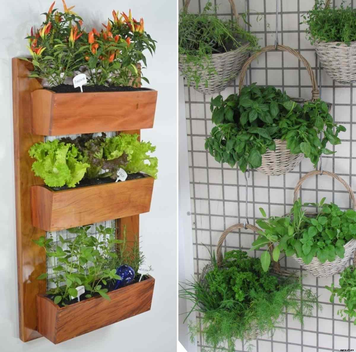 Vertical Gardening for Vegetables – A Full Guide