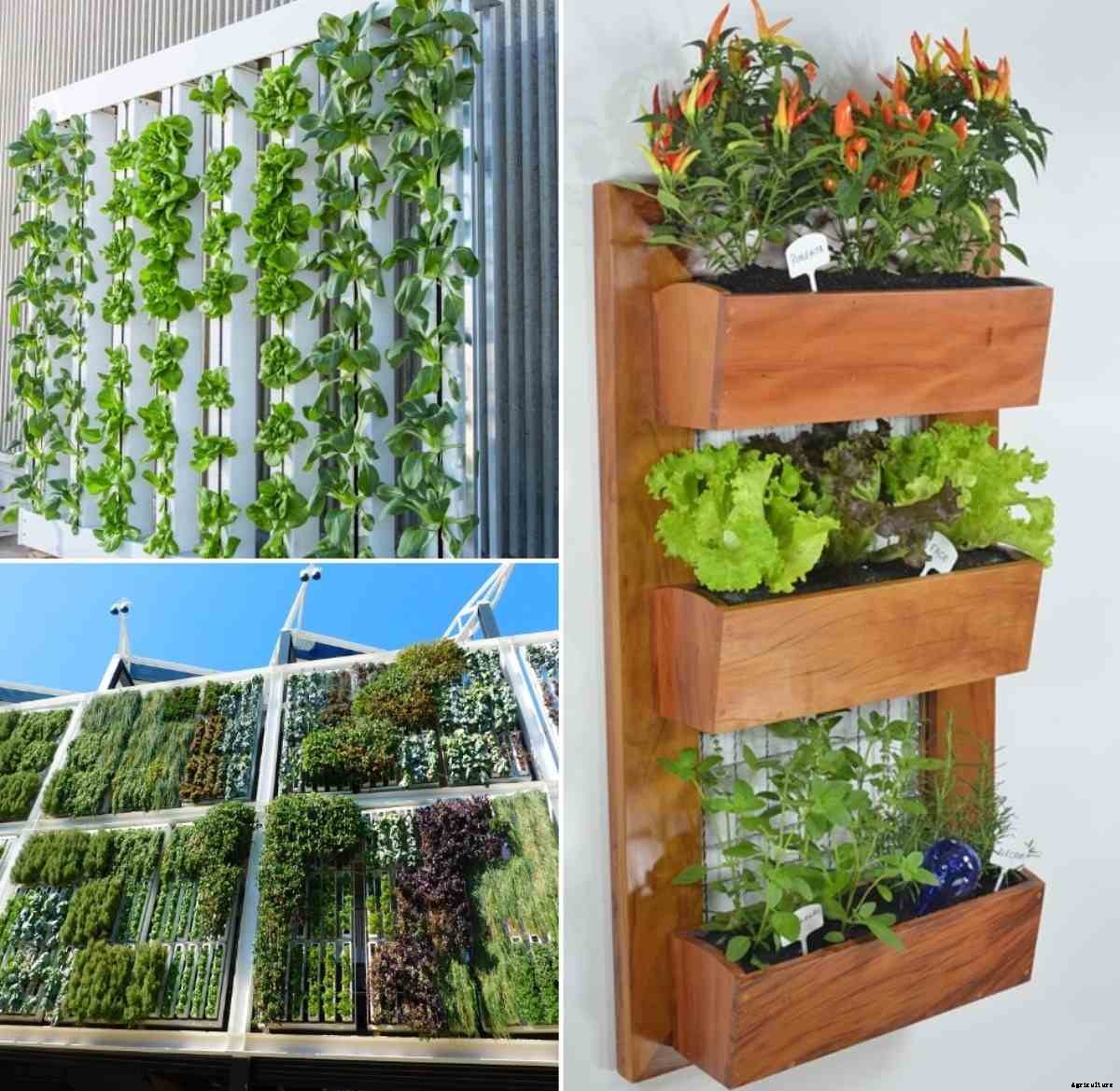 Vertical Garden Systems – A Step by Step Guide