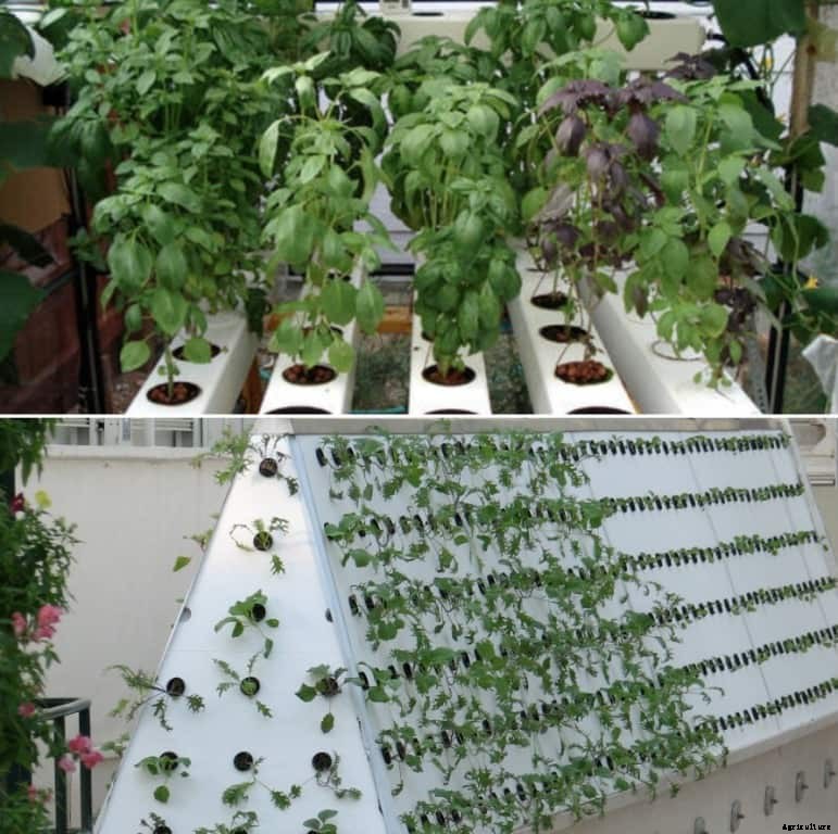 Aeroponic System Benefits, Components – A Full Guide