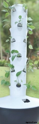 Aeroponic Gardening Ideas; Techniques; Tips