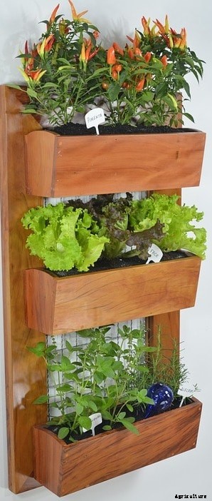 Vertical Gardening Techniques, Tips, Ideas