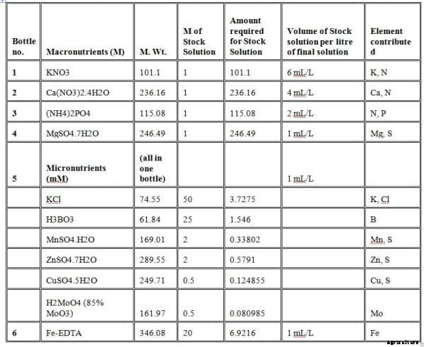 Homemade Hydroponic Nutrient Solution Guide