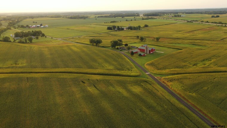 What is Sustainable Agriculture? Best Practices for Success
