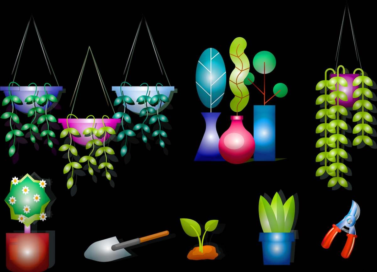 Unique Indoor Hanging Plants, Gardening Guide