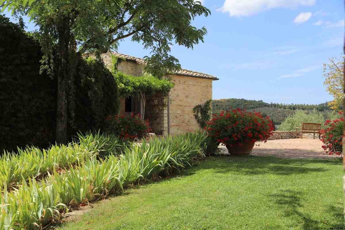 Cheap Backyard Landscaping Ideas, Tips, and Secrets