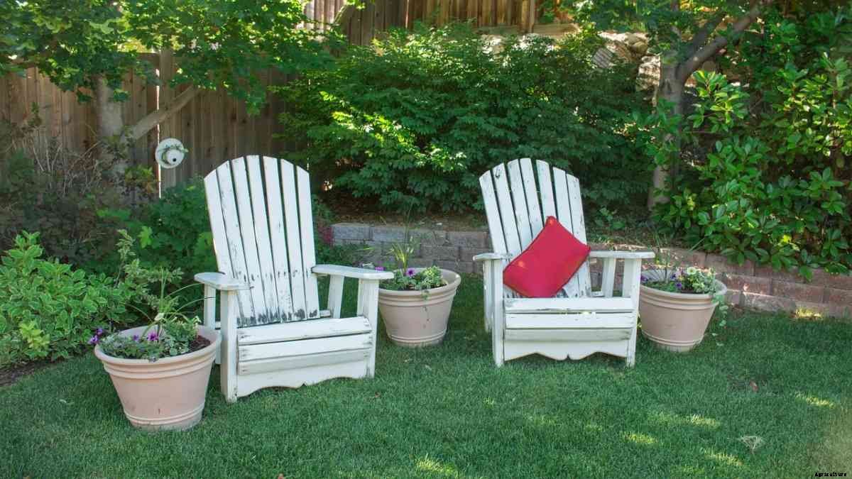 Cheap Backyard Landscaping Ideas, Tips, and Secrets