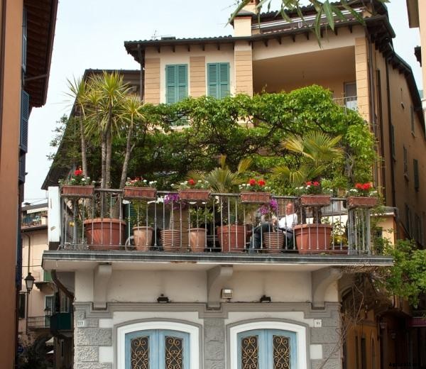 Small Balcony Gardening Ideas in India, Design Tips