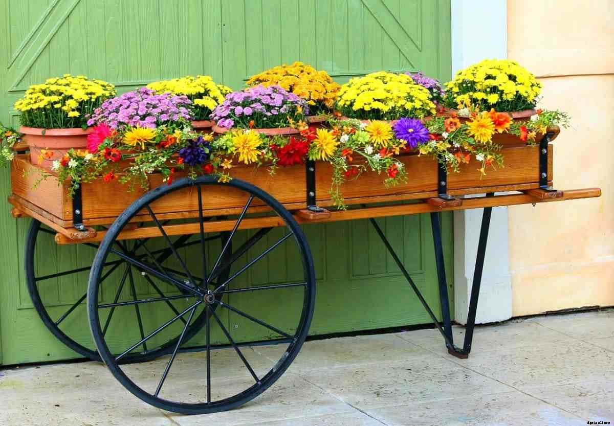 Creative Ideas For Container Gardening, Tips