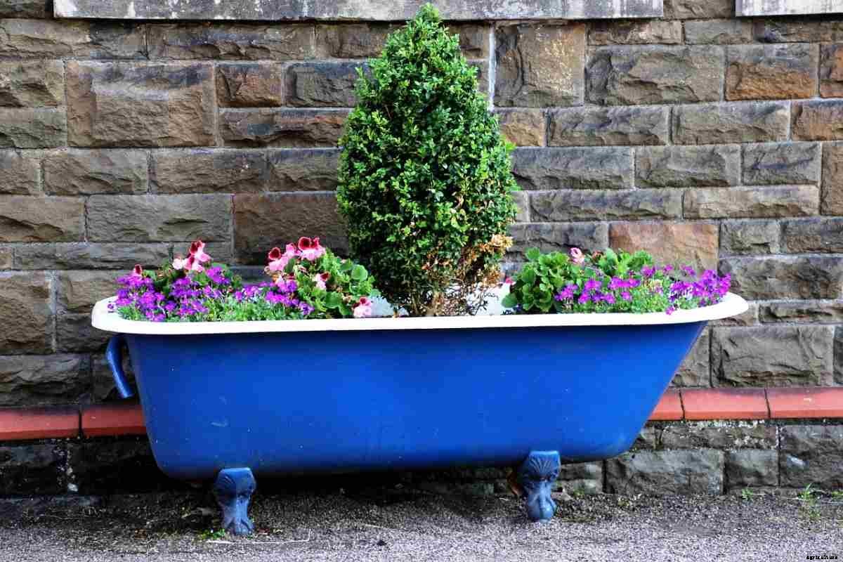 Unique Container Gardening Ideas for Beginners