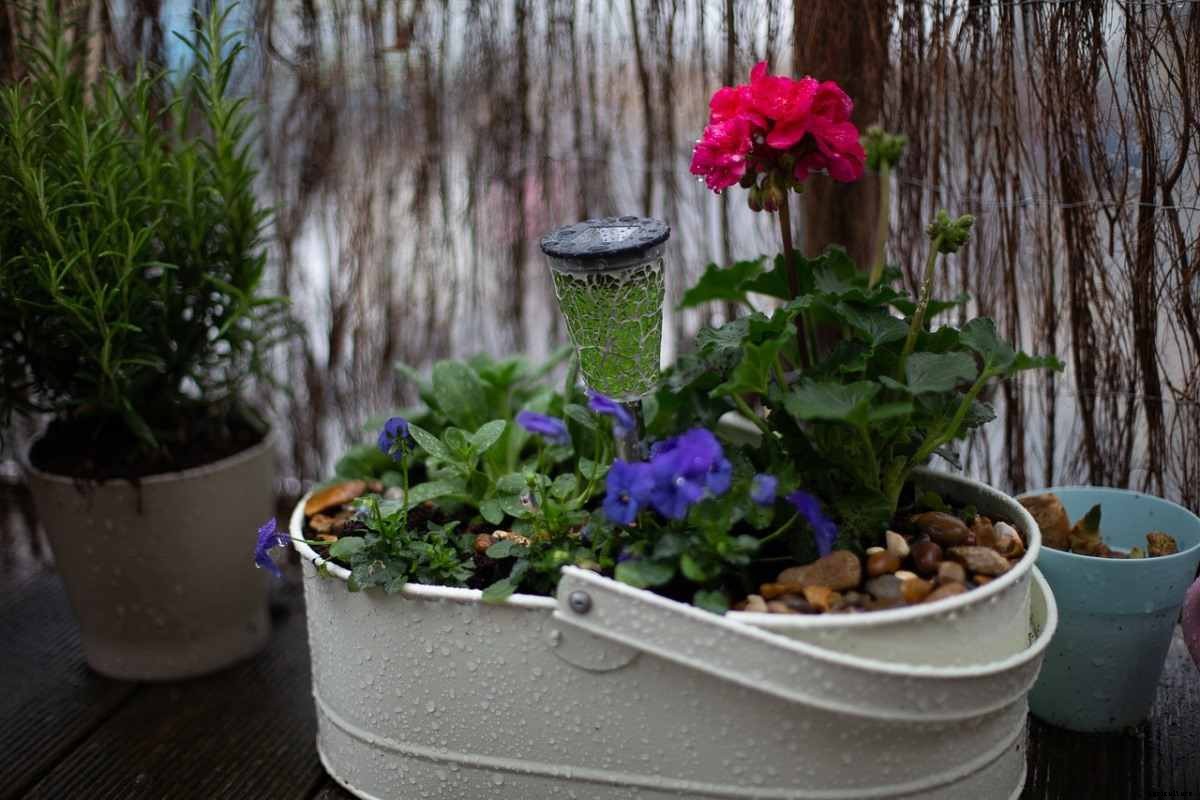 Apartment Gardening Ideas, Tips, and Techniques