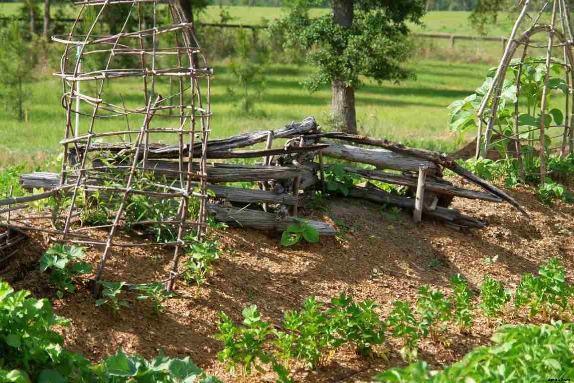 Weed Free Gardening, Tips, Ideas, and Techniques