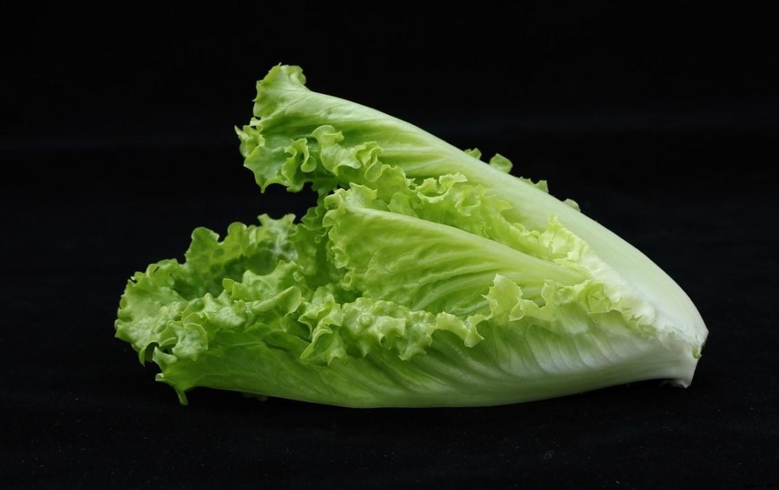 Growing Vegetables In Indonesia – Planting Calendar