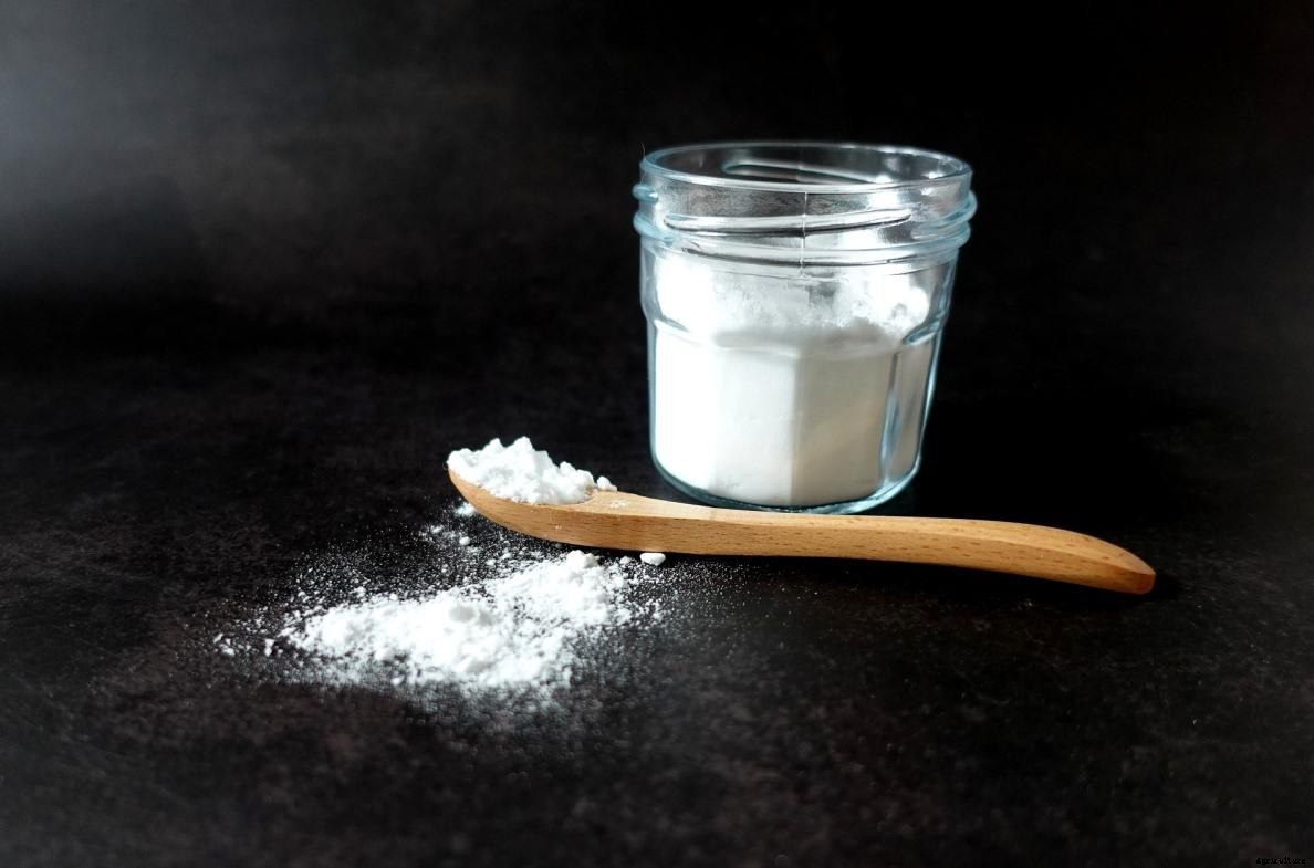 Baking Soda Miracles In Plants – How To Apply
