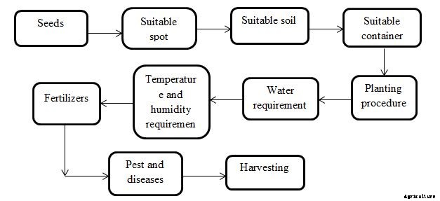 Carrot Growing Tips, Ideas, Secrets, and Techniques