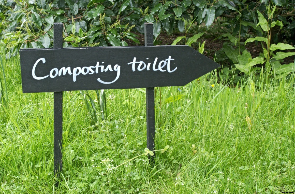 Banana Peels In Garden – Compost Process, Fertilizer