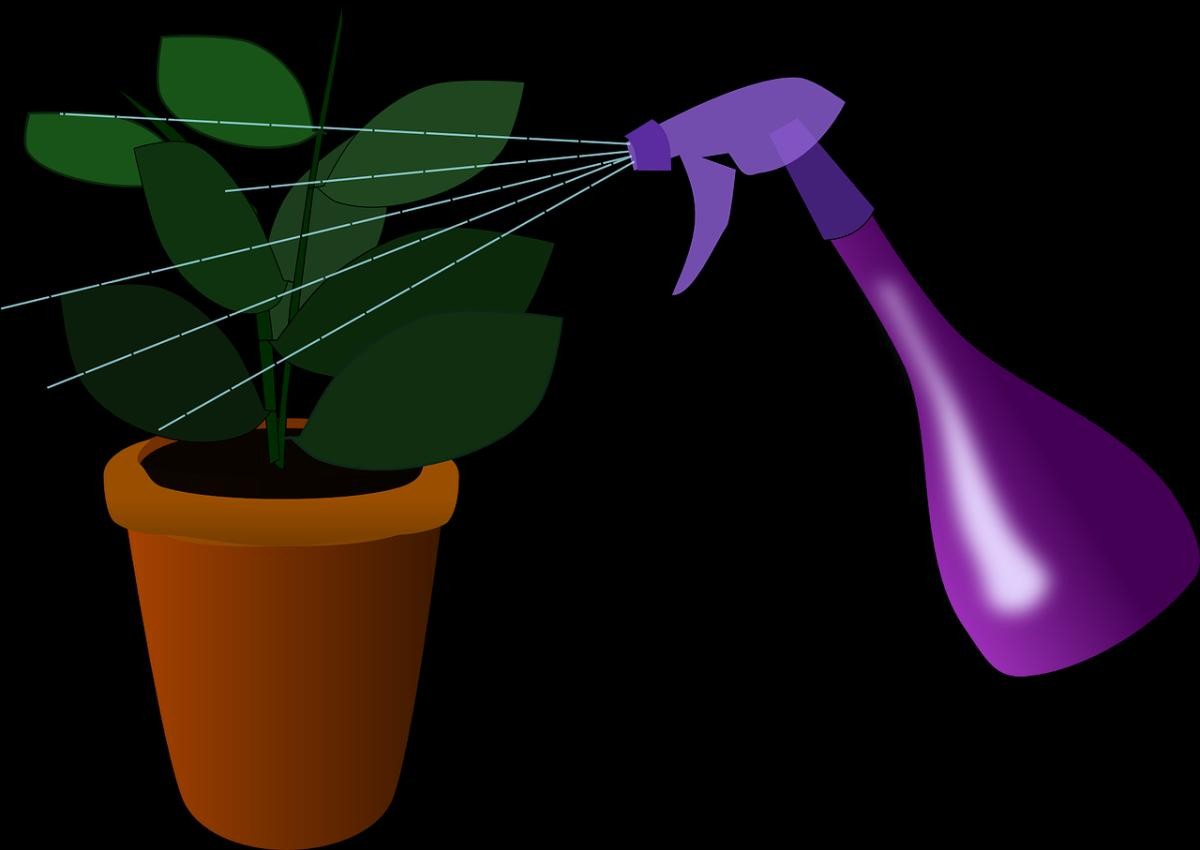 Natural Pesticides For Flowers – How To Make