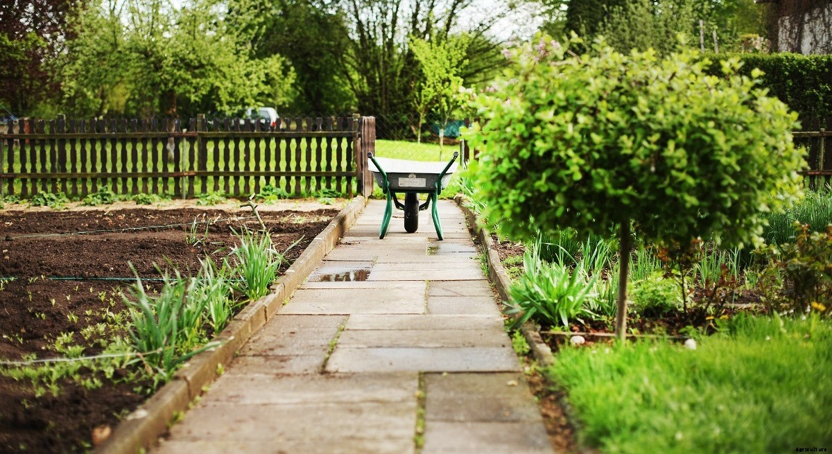 Home Garden Problems – Solutions, Tips, And Tricks