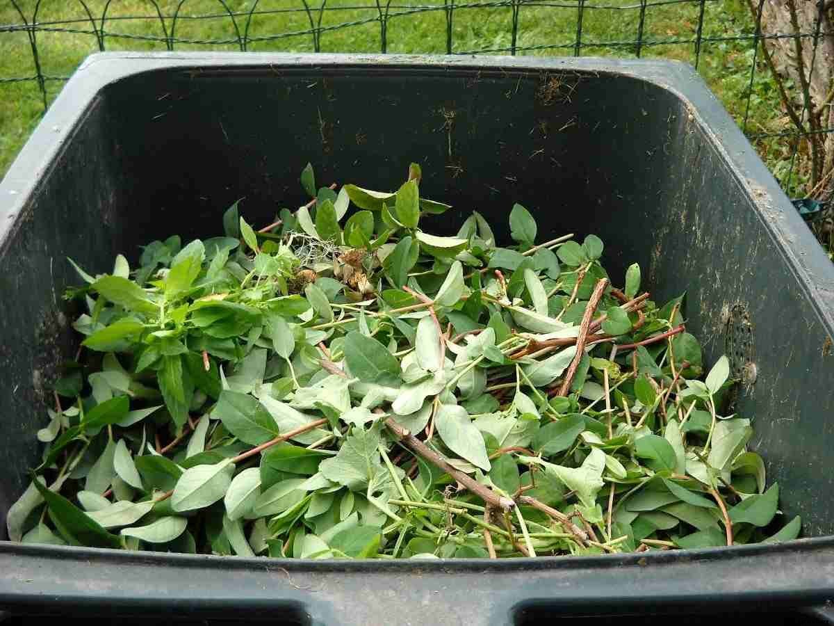 How To Make Compost At Home – A Full Guide