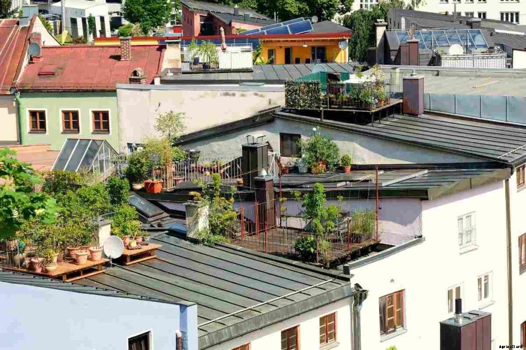 How To Build A Rooftop Garden – Step By Step Guide