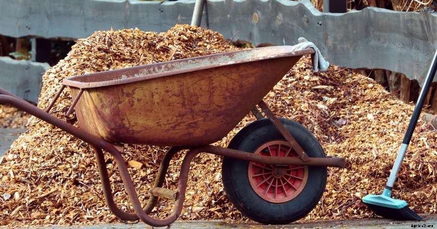 Mulching Your Garden – a Basic Guide