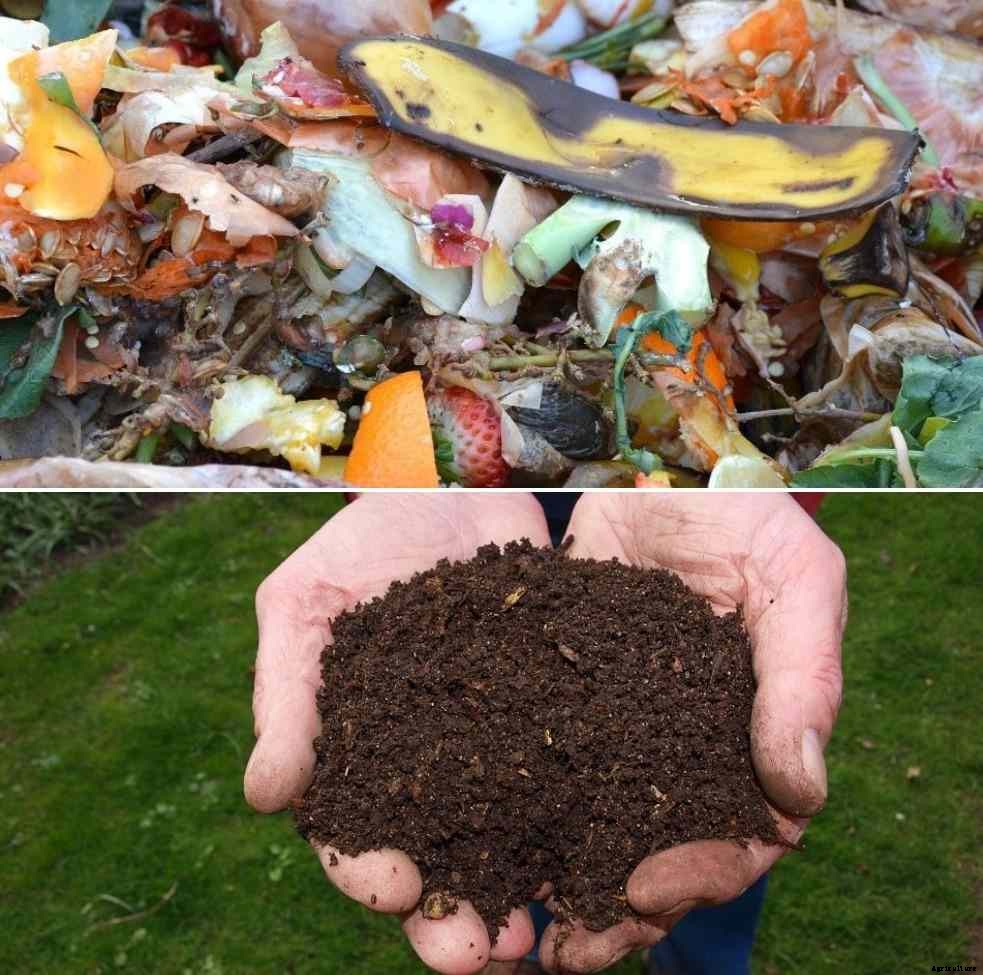 How to Make Compost from Kitchen Waste/Scraps
