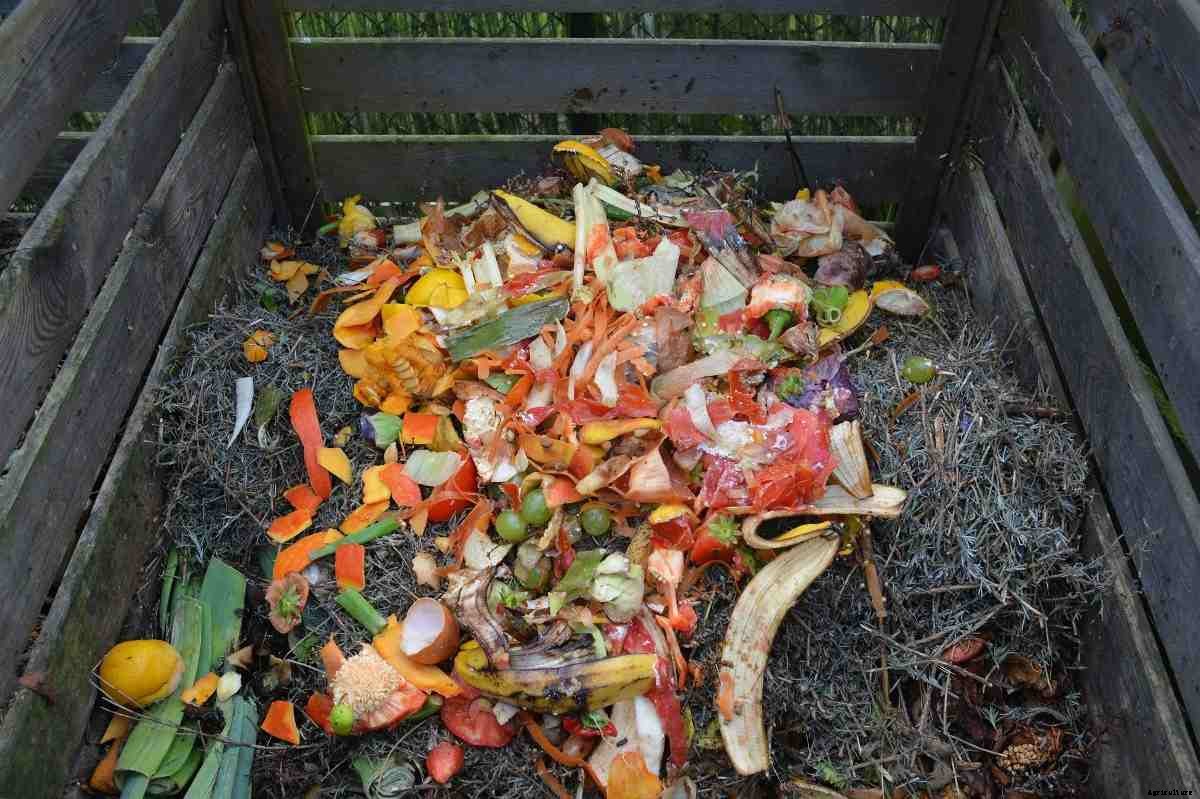 How to Make Compost from Kitchen Waste/Scraps