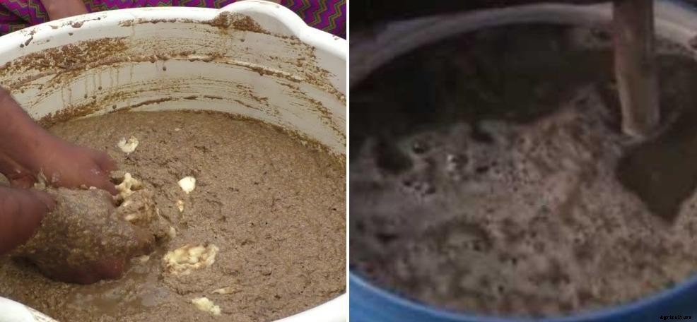 Preparation of Organic Fertilizer, Methods, and Benefits