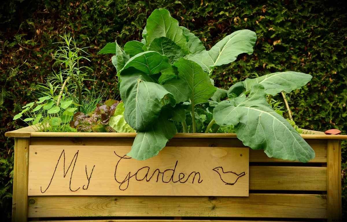 Raised Bed Vegetable Gardening, Ideas, and Tips