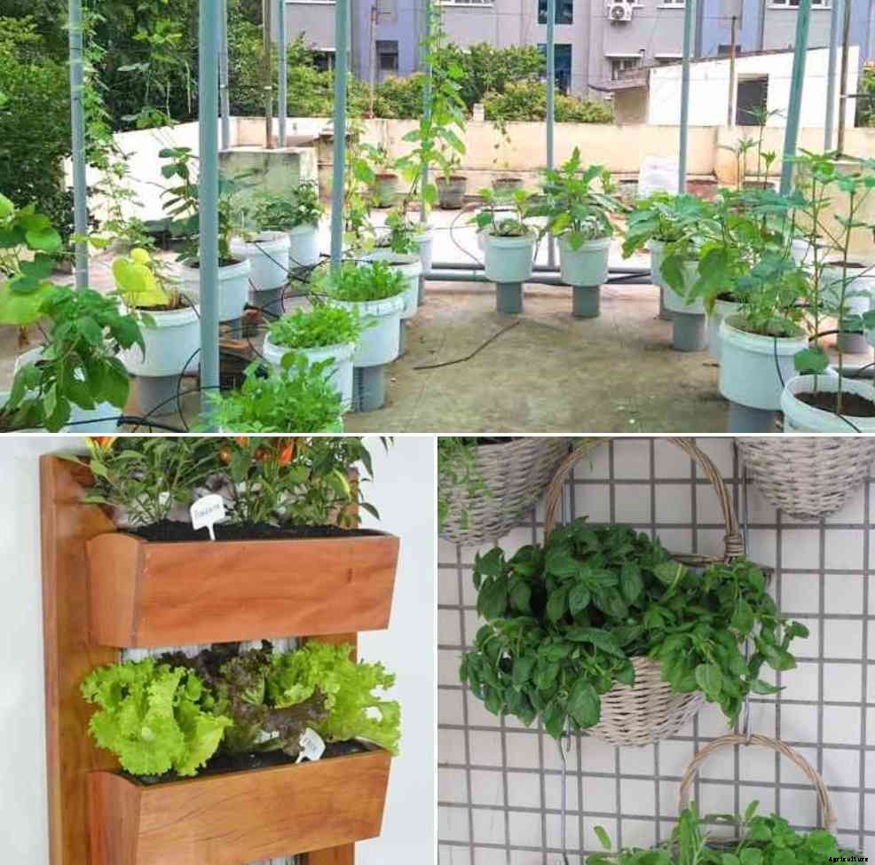 Terrace Vertical Gardening, Ideas, Tips, Techniques