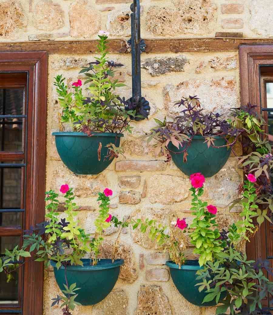 Gardening in Apartment without Balcony in India