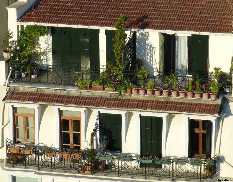 Balcony Garden Design in India – A Full Guide