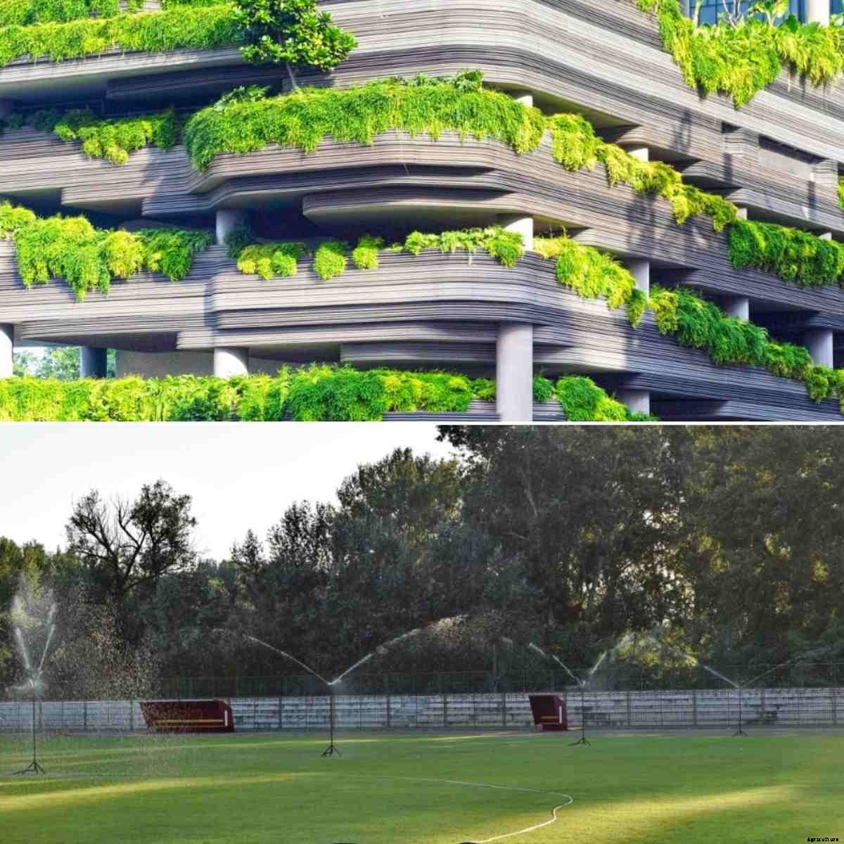 Landscape Gardening Ideas, Design, Techniques