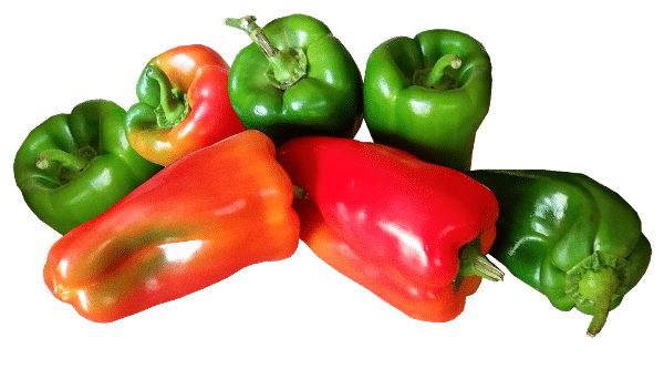 How To Grow Bell Peppers (Capsicum) In Backyard