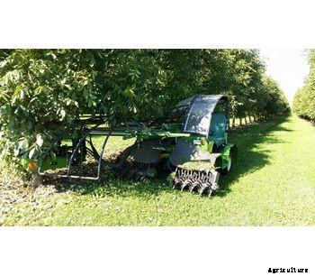 Sicma - Model B411 Intensive - Harvester with trunk shaker for walnut, almond and other nuts