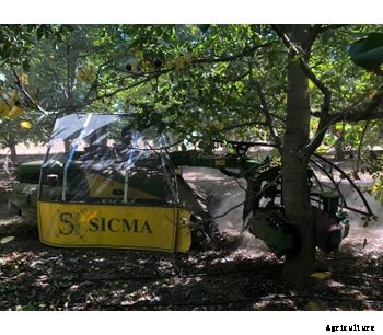 Sicma - Model B411 Intensive - Harvester with trunk shaker for walnut, almond and other nuts