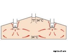 CoronaD - Air Inlet Fan for Poultry