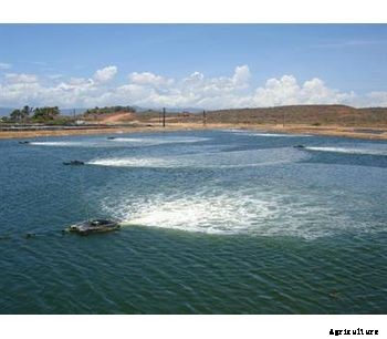 Aire-O2 - Model Series II - Aquaculture Aspirator Aerator