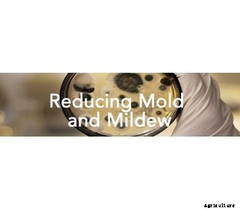 Jenfitch - Chemical for Reducing Mold and Mildew