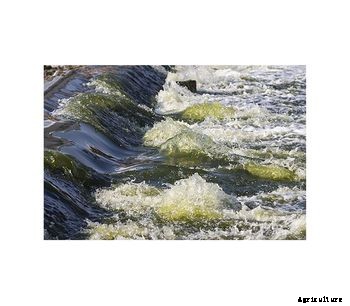 CentraSep - Algae Harvesting and Removal Systems