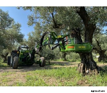 Sicma - Model TR80 - Harvester for olives, nuts, cherries, plums with trunk shaker (equipped with or without umbrella)