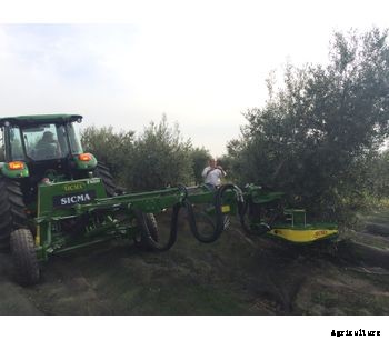 Sicma - Model TR80 - Harvester for olives, nuts, cherries, plums with trunk shaker (equipped with or without umbrella)