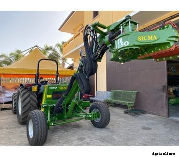 Sicma - Model TR80 - Harvester for olives, nuts, cherries, plums with trunk shaker (equipped with or without umbrella)