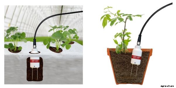 Delta-T Devices - Model SM150 - Soil Moisture Kit