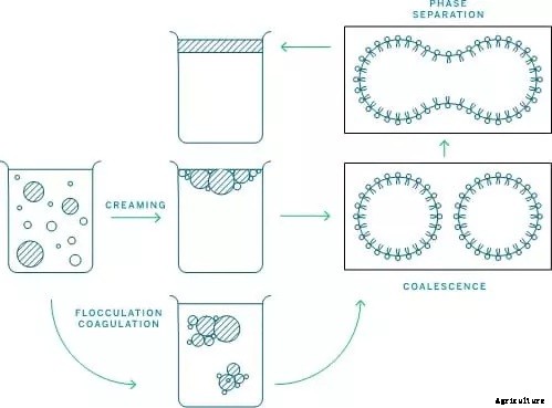Trucent - Model Ascent - Emulsion Breaker: Extract More Corn Oil