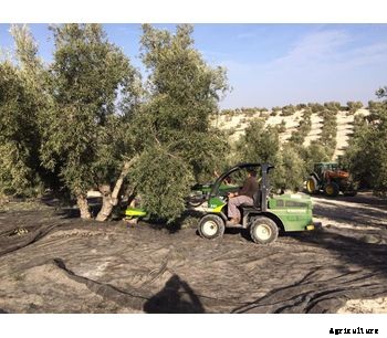 Sicma - Model B411 Plus - Olives, nuts, cherries, plums trunk shaker (with or without umbrella)