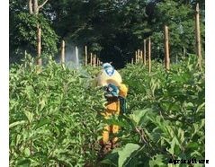 Puroxi (OB) - Agriculture Water System for Crops