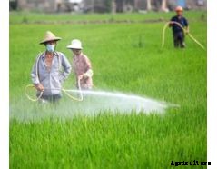 Puroxi (OB) - Agriculture Water System for Crops