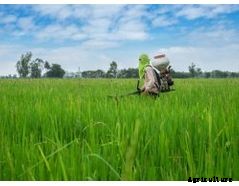 Puroxi (OB) - Agriculture Water System for Crops