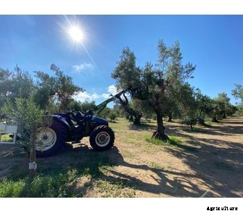 Sicma - Model TLX 100 - Harvester for olives, nuts  (walnuts, almonds, pistachio, etc.), cherries, plums with trunk shaker