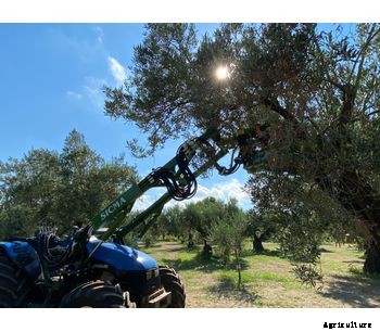Sicma - Model TLX 100 - Harvester for olives, nuts  (walnuts, almonds, pistachio, etc.), cherries, plums with trunk shaker